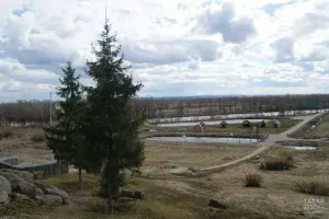 В Татарстане 510 га сельхозземель Елабужского района переведут под производство
