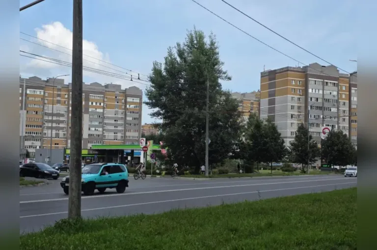Бензин в Казани подорожал до 109 рублей за литр