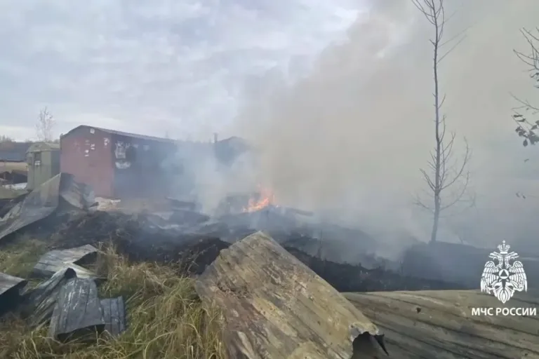 В Верхнем Услоне рабочий обжёгся при взрыве канистры на сварке