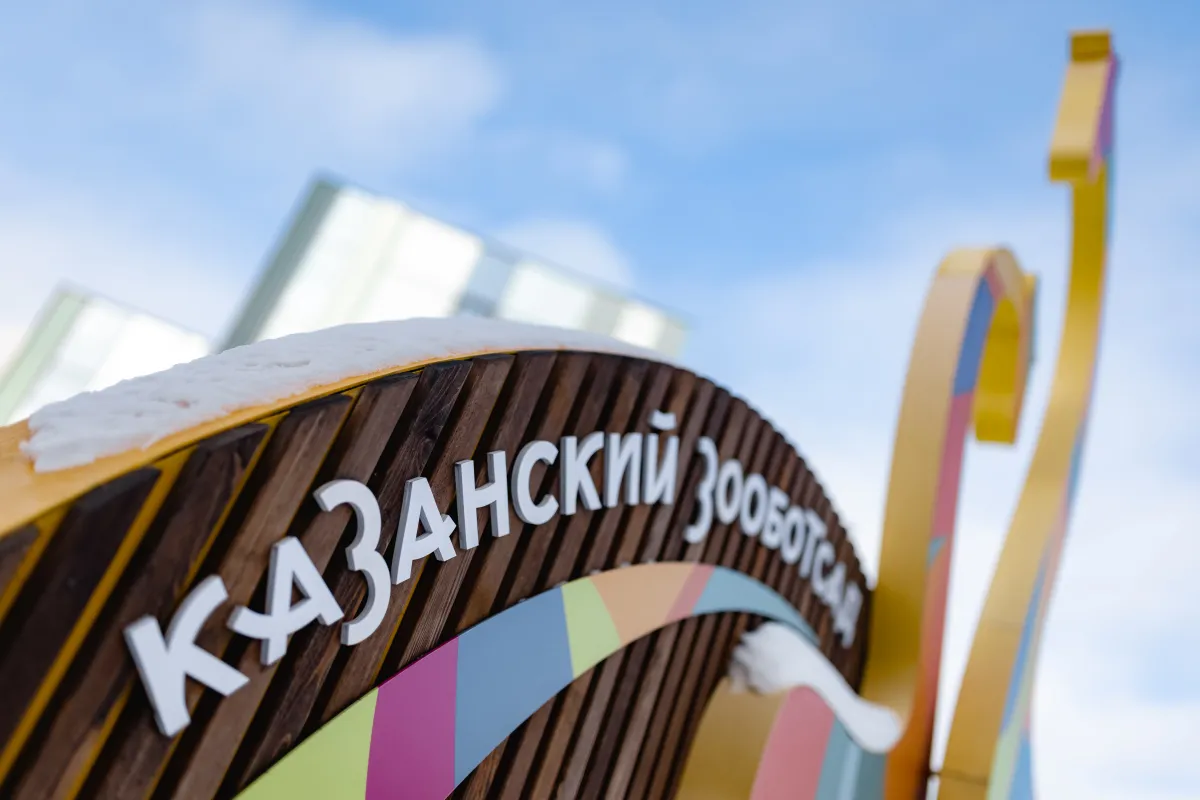 Посещаемость Казанского зооботсада выросла на 67% после приезда жирафов
