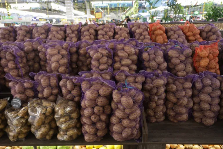 Сборы картофеля в Татарстане упали на 27,1%